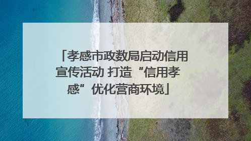 孝感市政数局启动信用宣传活动 打造“信用孝感”优化营商环境