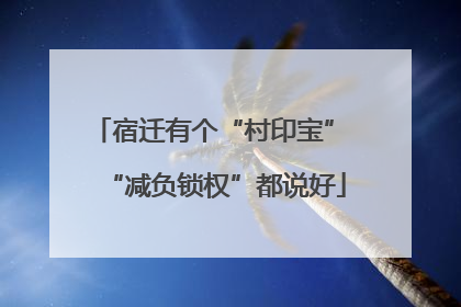 宿迁有个“村印宝” “减负锁权”都说好