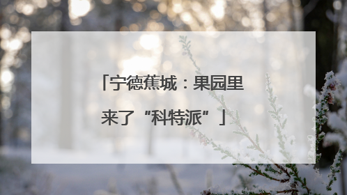 宁德蕉城：果园里来了“科特派”
