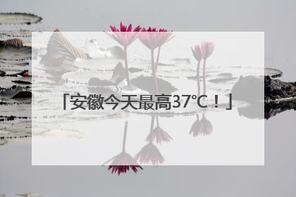 安徽今天最高37℃！