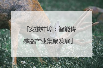 安徽蚌埠：智能传感器产业集聚发展