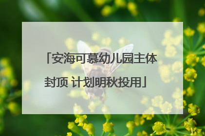 安海可慕幼儿园主体封顶 计划明秋投用