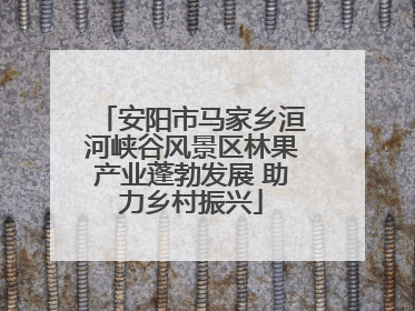安阳市马家乡洹河峡谷风景区林果产业蓬勃发展 助力乡村振兴