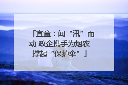 宜章：闻“汛”而动 政企携手为烟农撑起“保护伞”