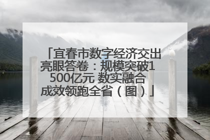 宜春市数字经济交出亮眼答卷：规模突破1500亿元 数实融合成效领跑全省（图）