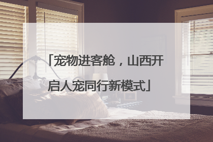 宠物进客舱，山西开启人宠同行新模式