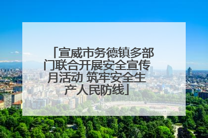 宣威市务德镇多部门联合开展安全宣传月活动 筑牢安全生产人民防线