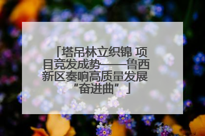 塔吊林立织锦 项目竞发成势——鲁西新区奏响高质量发展“奋进曲”