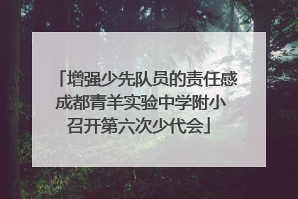 增强少先队员的责任感 成都青羊实验中学附小召开第六次少代会