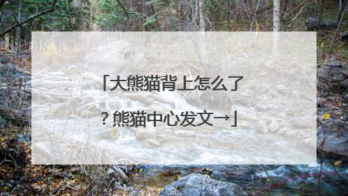 大熊猫背上怎么了？熊猫中心发文→