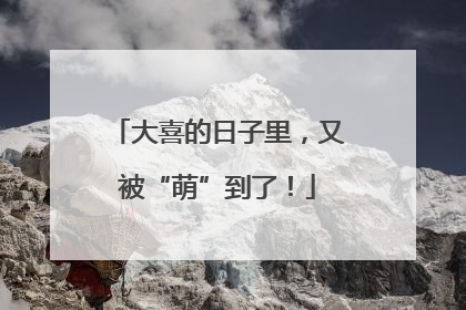 大喜的日子里，又被“萌”到了！