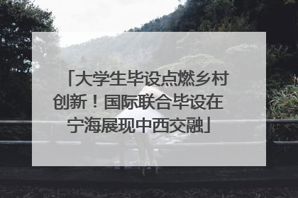 大学生毕设点燃乡村创新！国际联合毕设在宁海展现中西交融