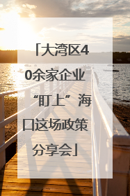 大湾区40余家企业“盯上”海口这场政策分享会