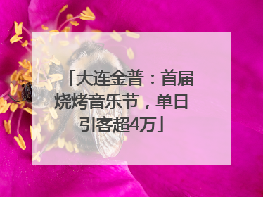 大连金普：首届烧烤音乐节，单日引客超4万