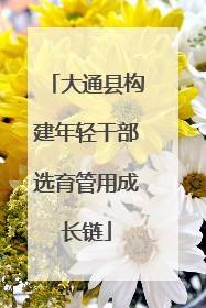 大通县构建年轻干部选育管用成长链
