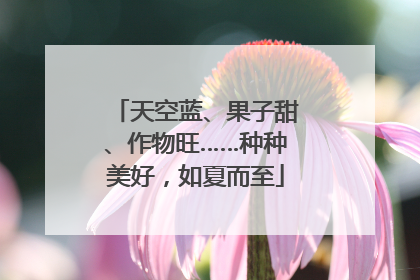 天空蓝、果子甜、作物旺……种种美好，如夏而至