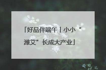 好品伴端午丨小小“潍艾”长成大产业