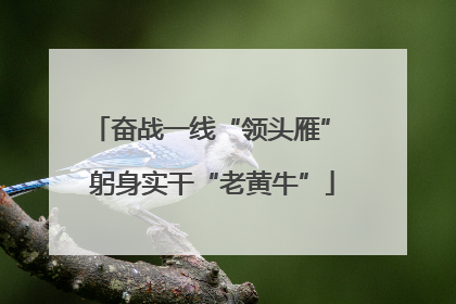 奋战一线“领头雁” 躬身实干“老黄牛”