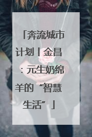 奔流城市计划丨金昌：元生奶绵羊的“智慧生活”