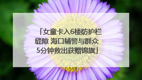 女童卡入6楼防护栏缝隙 海口辅警与群众5分钟救出获赠锦旗