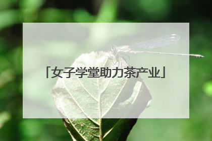 女子学堂助力茶产业