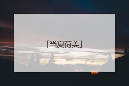 当夏荷美