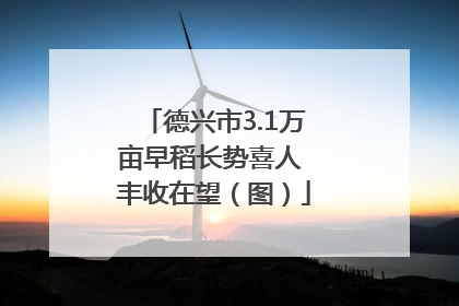 德兴市3.1万亩早稻长势喜人 丰收在望（图）