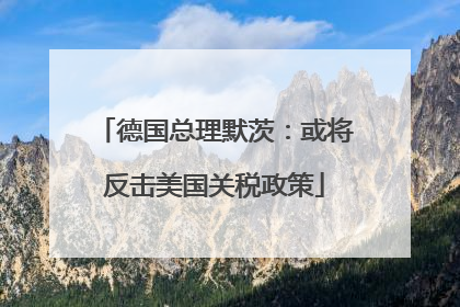 德国总理默茨：或将反击美国关税政策