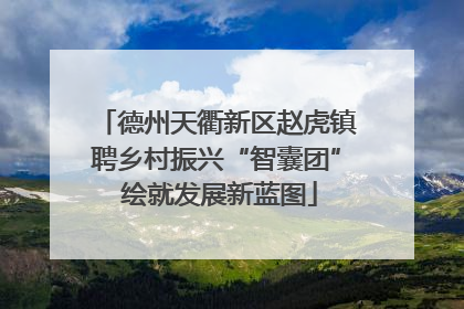 德州天衢新区赵虎镇聘乡村振兴“智囊团” 绘就发展新蓝图