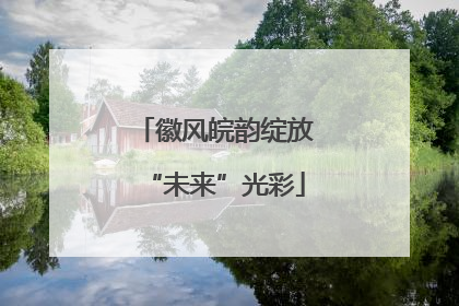 徽风皖韵绽放“未来”光彩