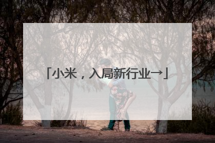 小米，入局新行业→