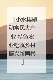 小水果撬动富民大产业 特色农业绘就乡村振兴新画卷
