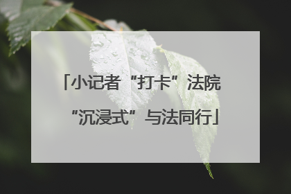 小记者“打卡”法院 “沉浸式”与法同行