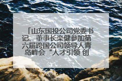山东国投公司党委书记、董事长栾健参加第六届跨国公司领导人青岛峰会“人才引领 创新驱动”人力资源高质量发展对话会