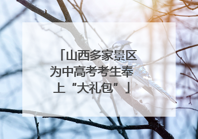 山西多家景区为中高考考生奉上“大礼包”