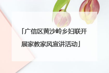 广信区黄沙岭乡妇联开展家教家风宣讲活动