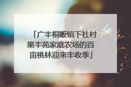 广丰桐畈镇下社村果丰苑家庭农场的百亩桃林迎来丰收季