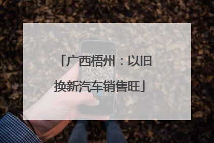 广西梧州：以旧换新汽车销售旺