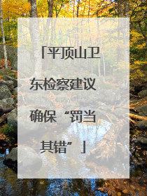 平顶山卫东检察建议确保“罚当其错”