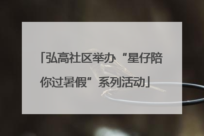 弘高社区举办“星仔陪你过暑假”系列活动