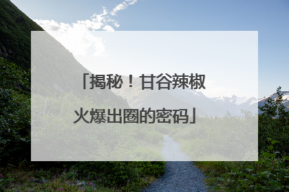 揭秘！甘谷辣椒火爆出圈的密码