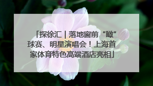 探徐汇｜落地窗前“瞰”球赛、明星演唱会！上海首家体育特色高端酒店亮相