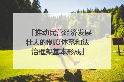 推动民营经济发展壮大的制度体系和法治框架基本形成