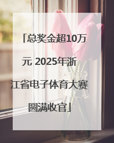 总奖金超10万元 2025年浙江省电子体育大赛圆满收官