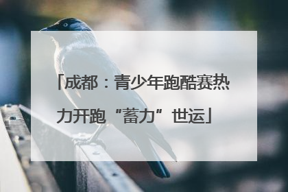 成都：青少年跑酷赛热力开跑“蓄力”世运