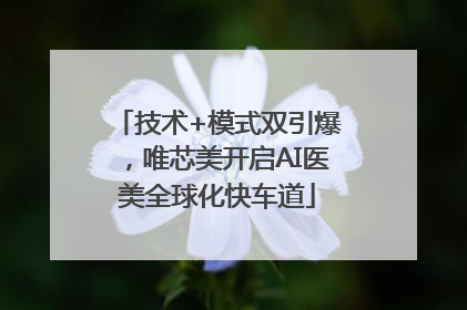 技术+模式双引爆，唯芯美开启AI医美全球化快车道