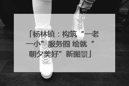杨林镇：构筑“一老一小”服务圈 绘就“朝夕美好”新图景