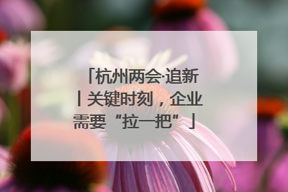 杭州两会·追新丨关键时刻，企业需要“拉一把”