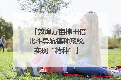 敦煌万亩棉田借北斗导航播种系统实现“精种”