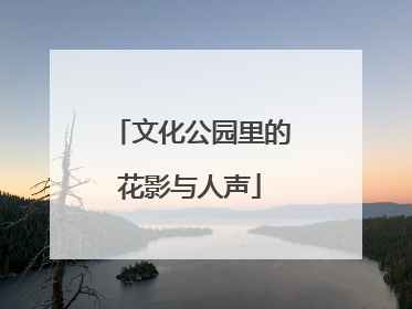 文化公园里的花影与人声
